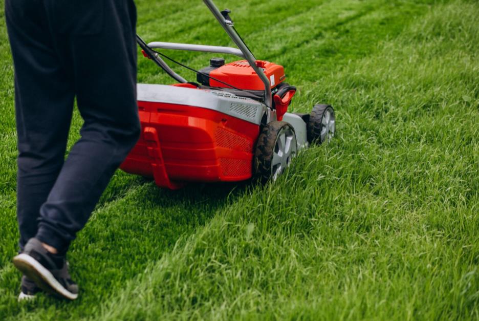 how professional lawn care services in garland boost your homes curb appea