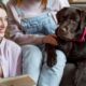 inside a successful pet insurance appeal the evidence that changed the outcome