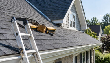 benefits of professional roofing services for homeowners